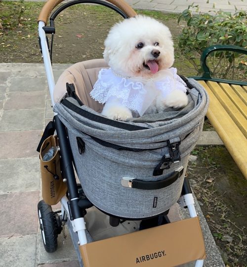 61BDE263-6932-4648-8B07-7BF9595DDE2E_1_105_c