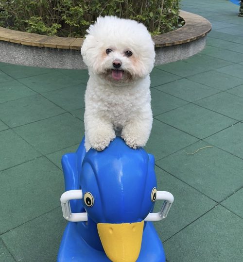 A7278272-449E-4BD5-86EA-EB2735287902_1_105_c